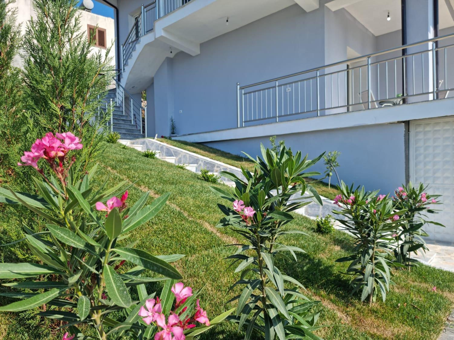 View Apartament *