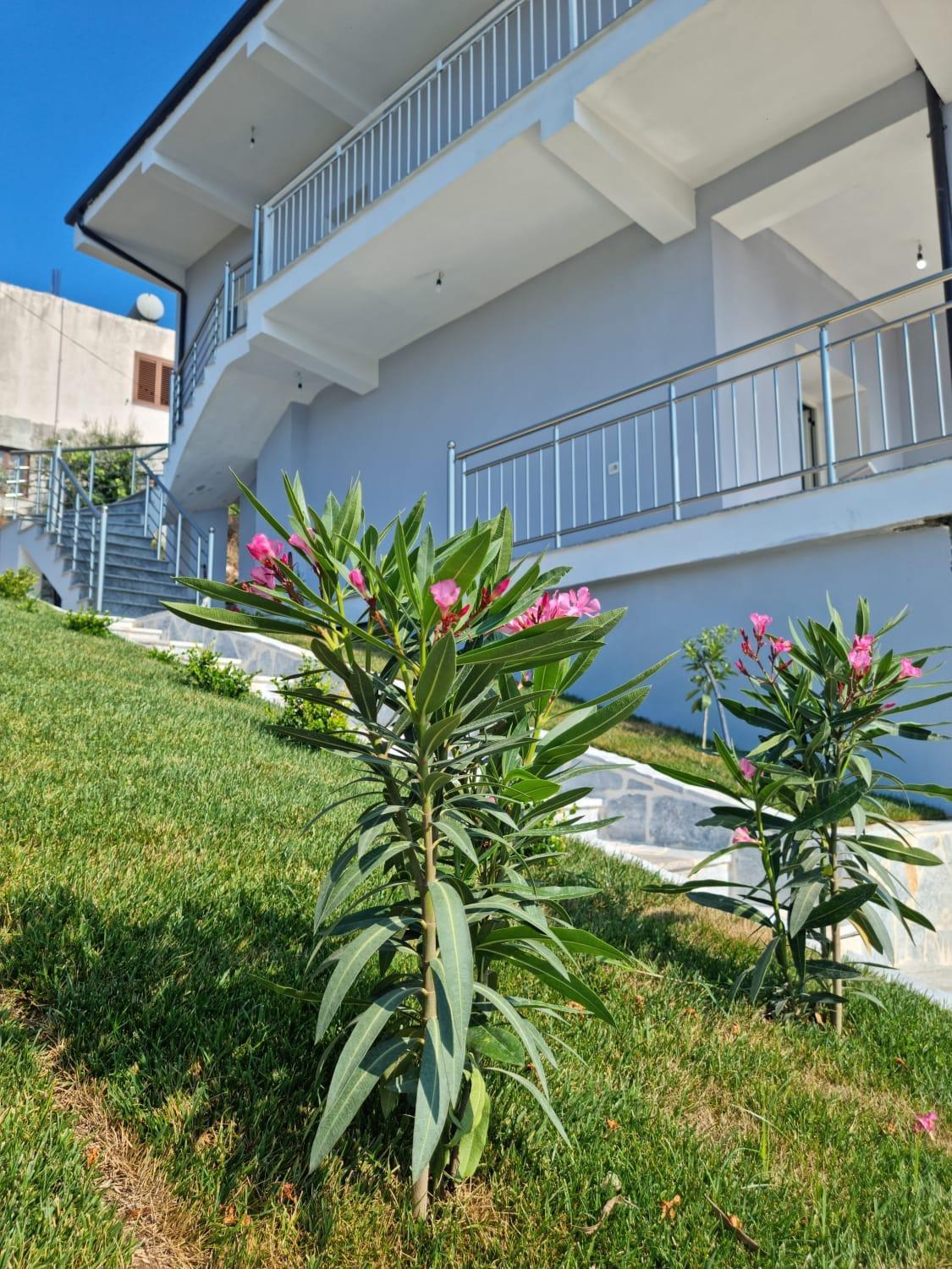 Apartament View